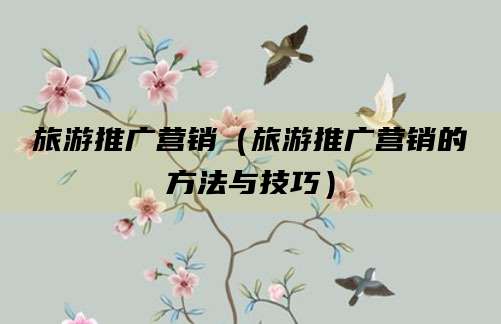 旅游推广营销（旅游推广营销的方法与技巧）