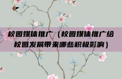 校园媒体推广(校园媒体推广给校园发展带来哪些积极影响)