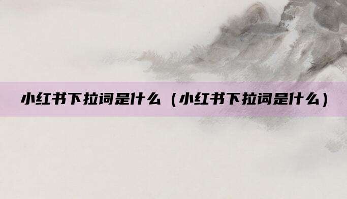 小红书下拉词是什么（小红书下拉词是什么）